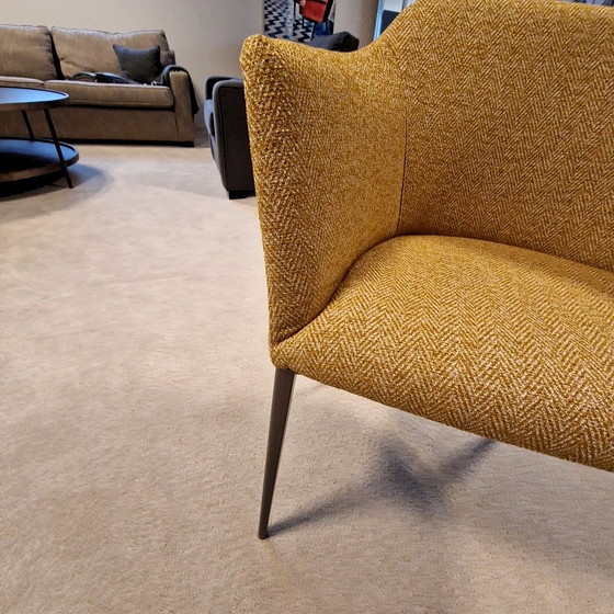 Image 1 of Porada Grace dining chair (set of 6)