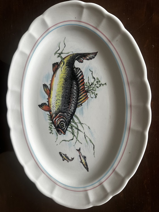 Image 1 of Plat à Poisson Vintage en Céramique " Ceramica Castellana " 36/27 cm