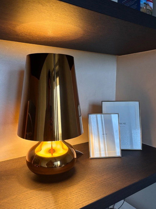 Kartell Cindy Or Foncé