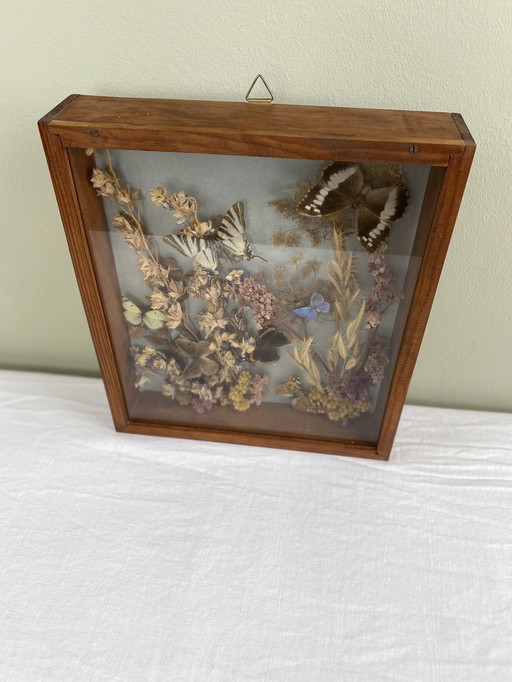 Framed butterflies and flowers
