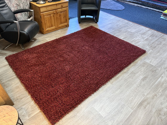 Image 1 of Brink En Campman Dots