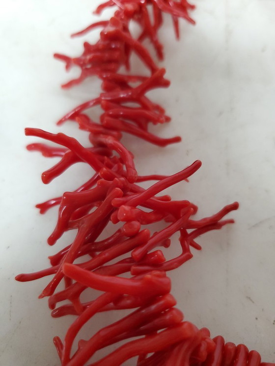 Image 1 of Joyería - Collar de coral rojo sangre oscuro con flecos. (ref4046)