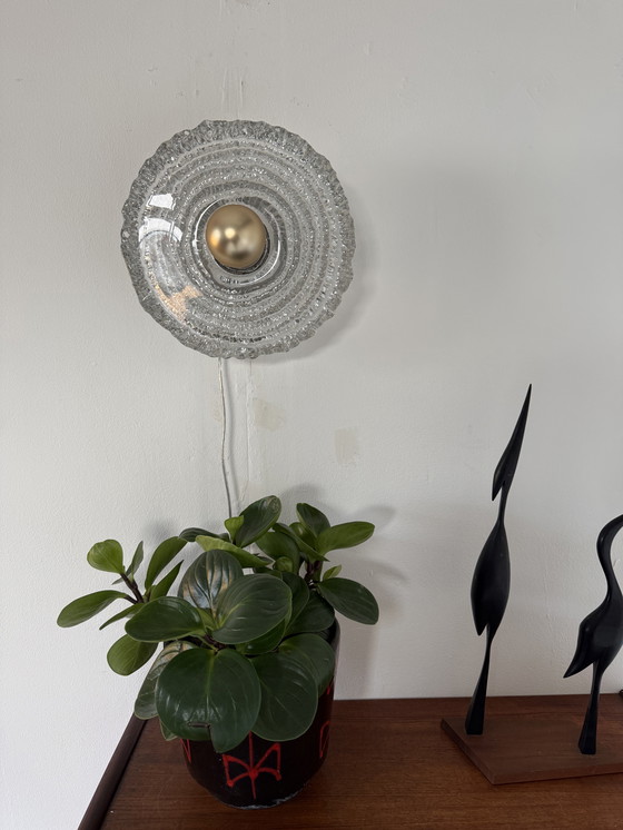 Image 1 of Applique murale vintage en verre dépoli, Peil & Putzler, années 1970