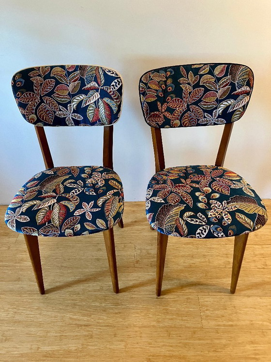 Image 1 of Coppia di sedie vintage "The Botanicals"