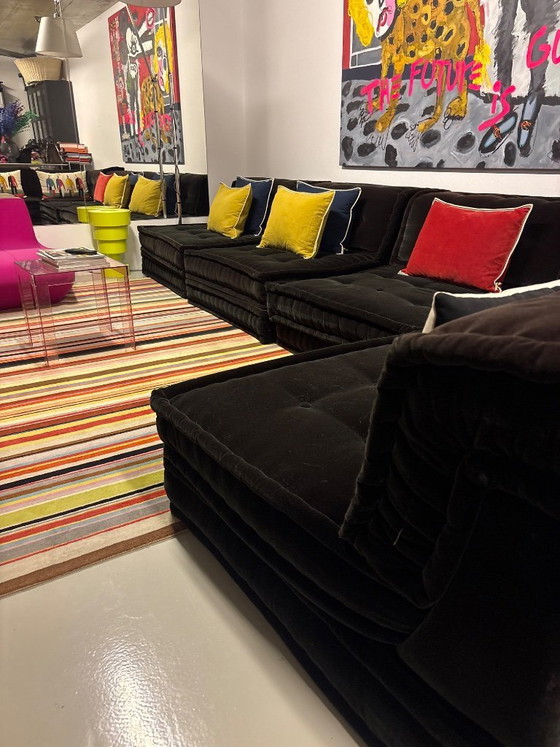 Image 1 of Sofá Roche Bobois