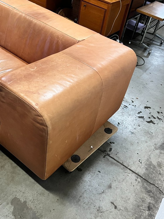 Image 1 of Sofá XL, Montis Malou, Tapizado en Cuero, Coñac