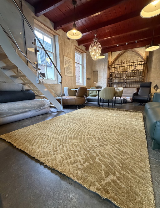 Brink en Campman tapijt Twinset Gold NIEUW 