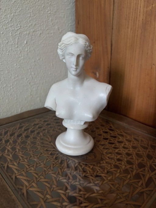 Buste de Vénus – albâtre pur – style académique classique et sombre