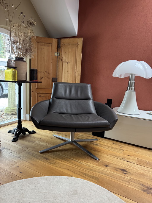 Montis Hugo Drehsessel aus braunem Leder