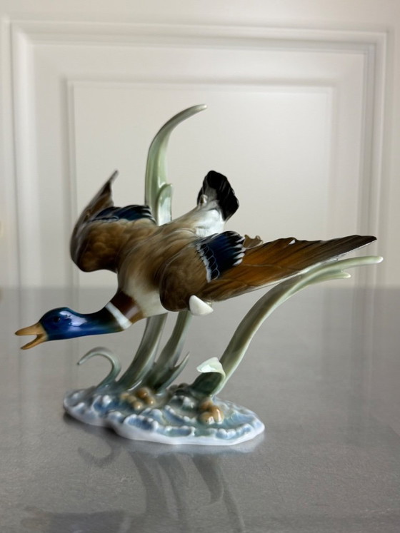 Image 1 of Hutschenreuther Selb Kunstabteilung – „Fliegender Erpel“ – Hans Achtziger – Modell 2163 (Entwurf 1950) – frühe Ausführung
