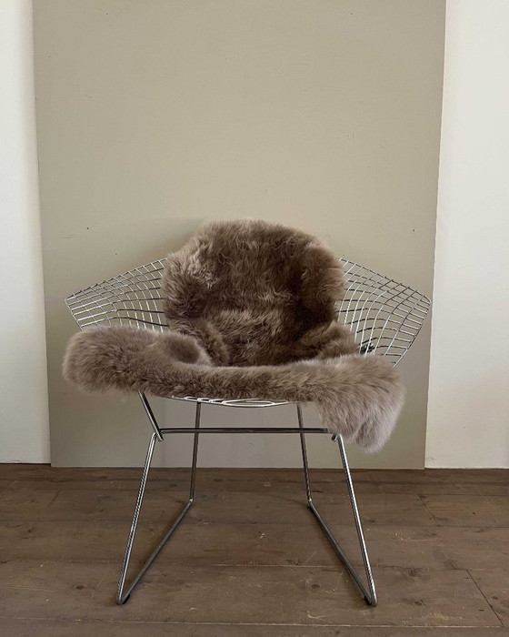 Image 1 of Fauteuil Diamond modèle 421, Harry Bertoia,