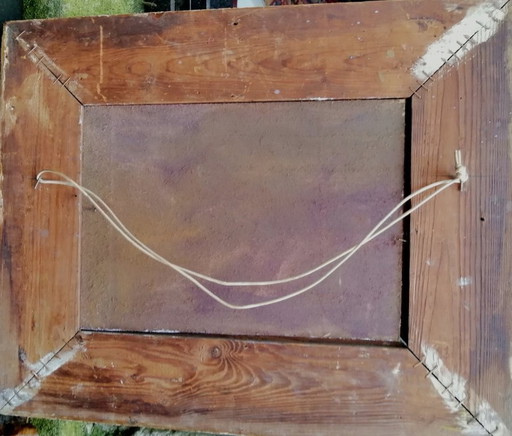 winterdag op het land