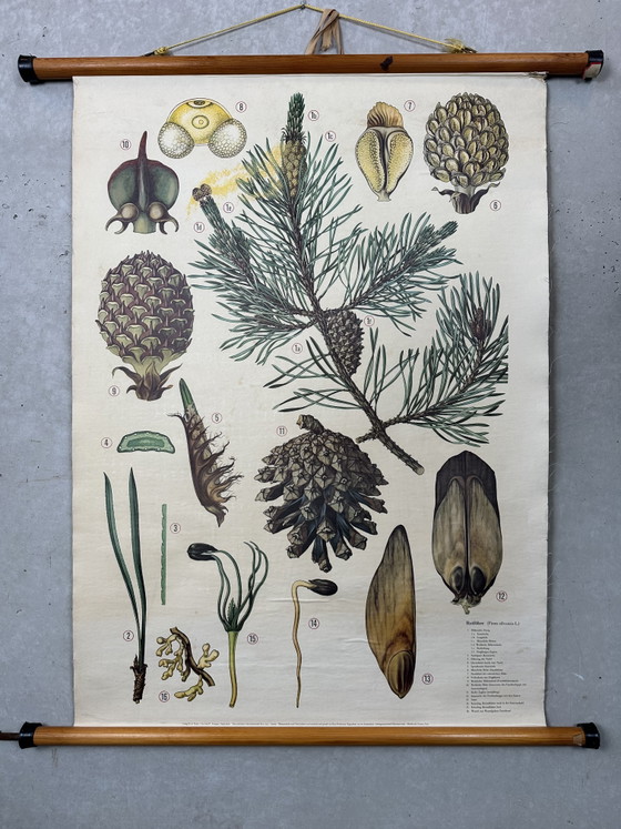 Image 1 of Antique linen school map + models Brendel