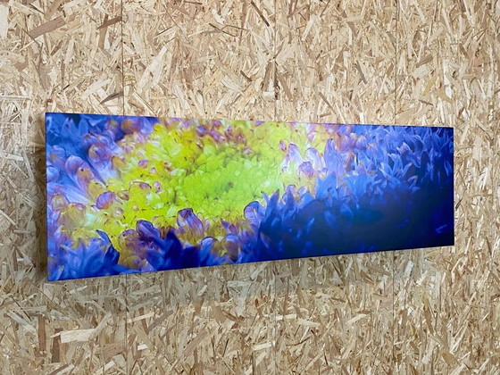 Image 1 of Design Wandregal "Audire" Bedruckt Vom Künstler "Winfried Becker" Um 2000