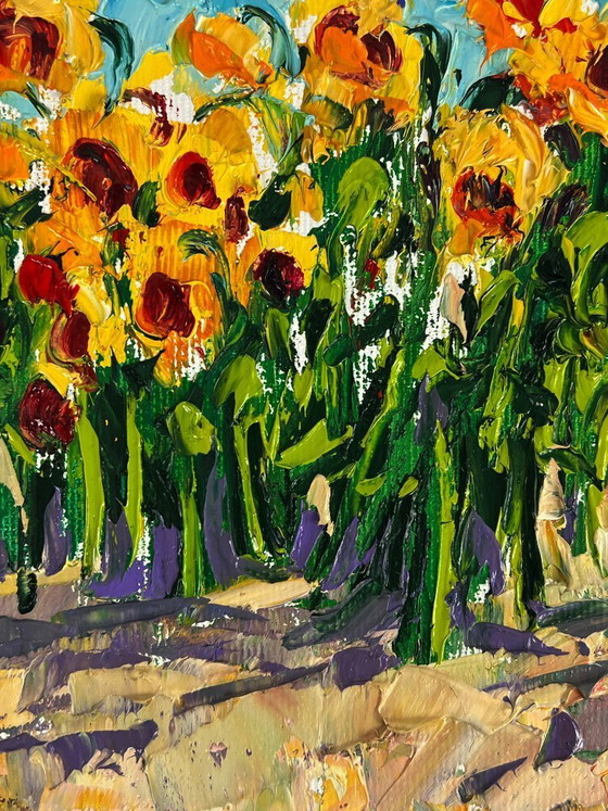 Image 1 of Sunflowers Grow in the Field