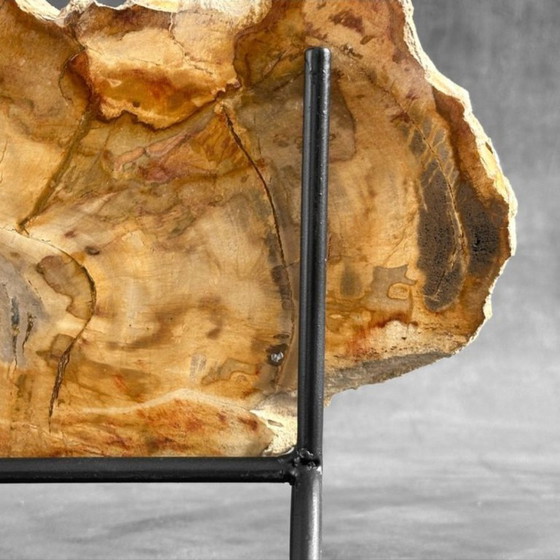 Image 1 of Bois fossilisé de Sooka, fabrication sur mesure standard (nouveau)