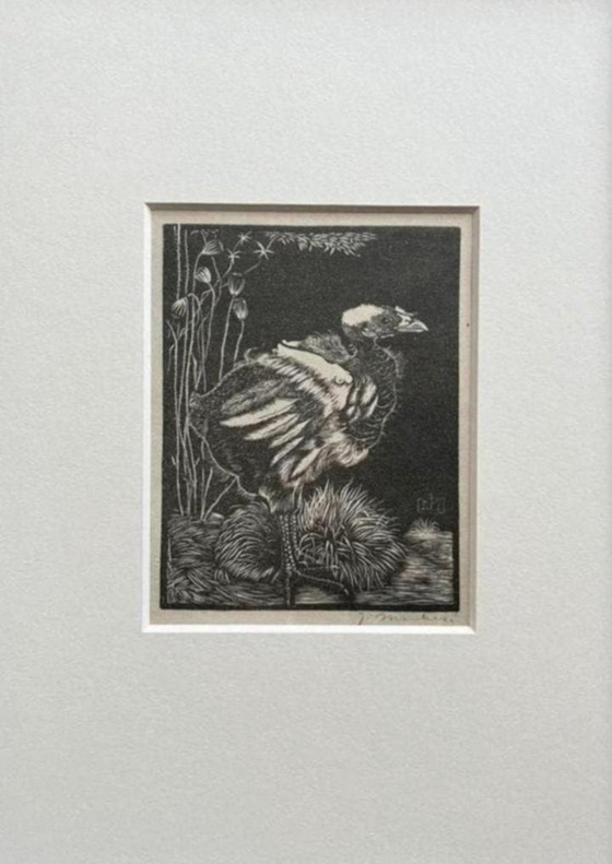 Image 1 of Jan Mankes 1889-1920 / Héliogravure originale Nestkuiken 1923