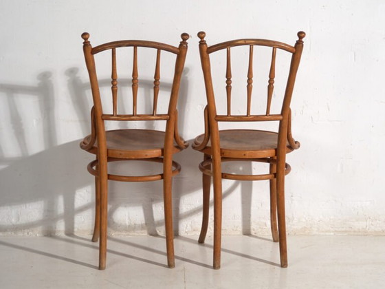 Antikes Set von 4 Bugholzstühlen aus gebogenem Holz – Mitteleuropa, um 1900 – Thonet, Esszimmerstühle, Metal (photo 33 of 40)