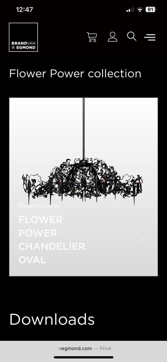 Image 1 of MarqueVanEgmond flowerpower