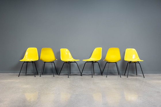 Image 1 of Eames Dsx Chairs, 8X