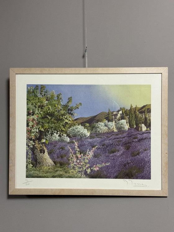 Image 1 of 'Campi di lavanda in Provenza' di D. Broussie, serigrafia, Francia, fine del XX secolo