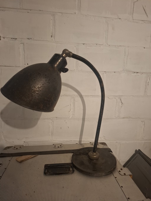 Christian Dell Polo beliebt 2608