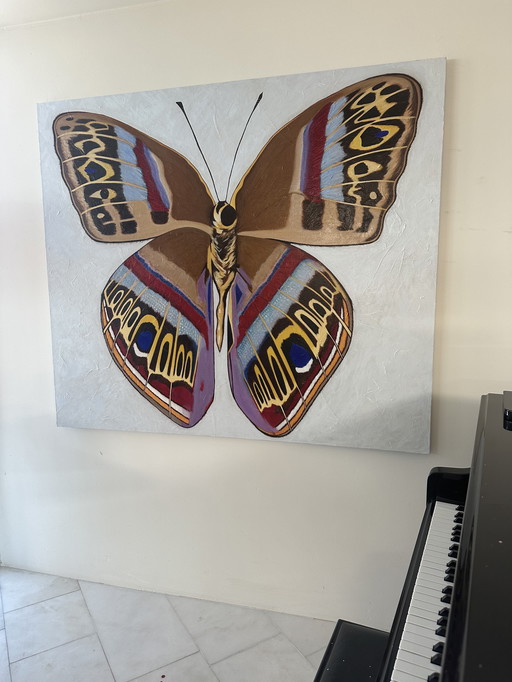 Butterfly Oil on Canvas