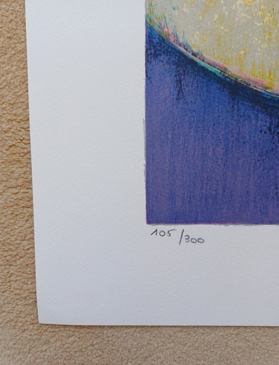 Image 1 of 'Le vase blanc' e 'Le vase bleu', due litografie di André Torre