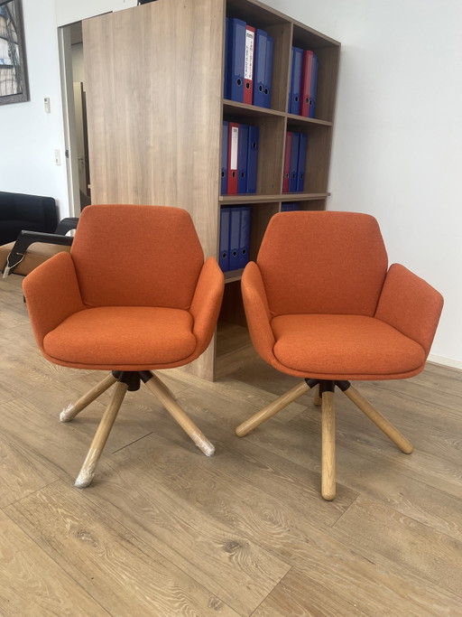 Haworth - Sedia Poppy - 2 pezzi