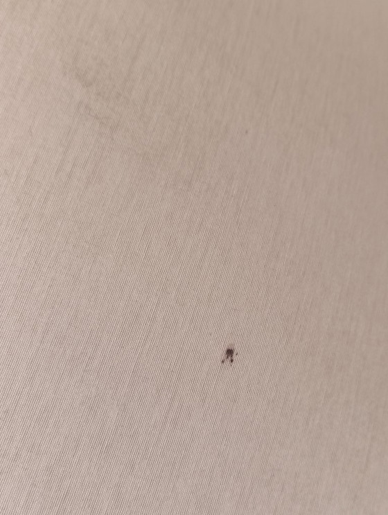 Image 1 of W28 table lamp by Wilhelm Wagenfeld for Technolumen