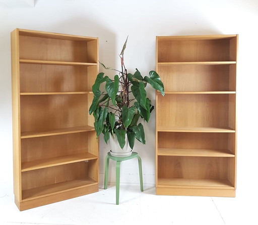 2 estanterías vintage de chapa de roble danés | librería