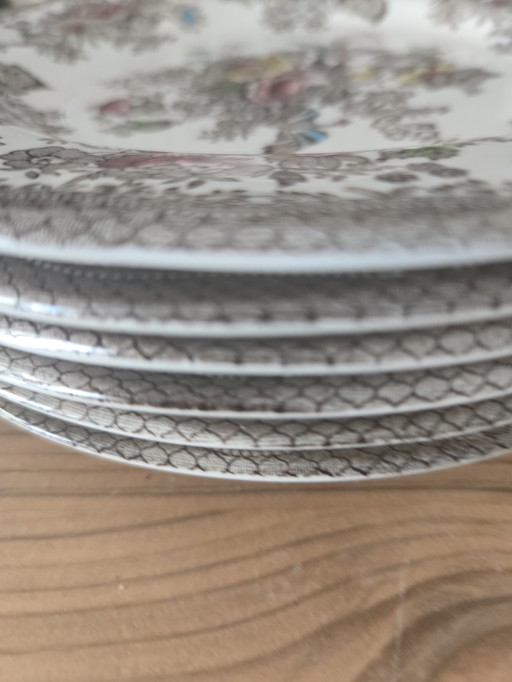 Assiette à déjeuner 6 pièces Wedgwood Oriental Faisans couleur marron