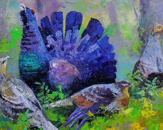 Image 1 of Black grouse in the summer forest