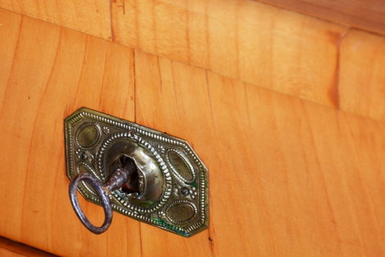 Cabinet Biedermeier restauré, merisier, épicéa, ébène, polonais, tchèque, années 1820 – Meubles de rangement (photo 8 of 16)