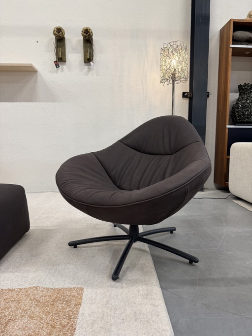Label van den Berg Label Hidde soft dark Brown