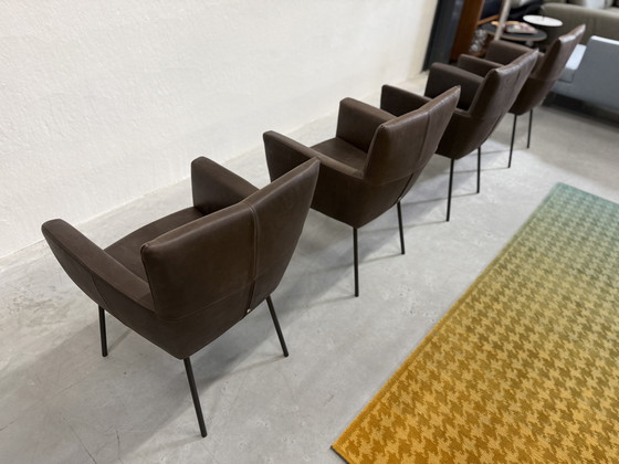 Image 1 of 4 Design on Stock Sedie da pranzo Moka in pelle Cabo Marron