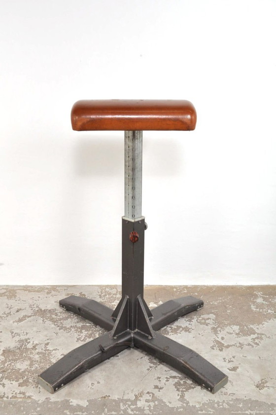 Image 1 of Cervo da ginnastica d'epoca come elemento di attrazione