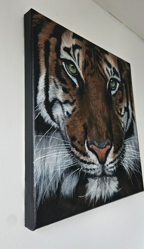 Image 1 of Handmade acrylic painting tiger "eye of the tiger"