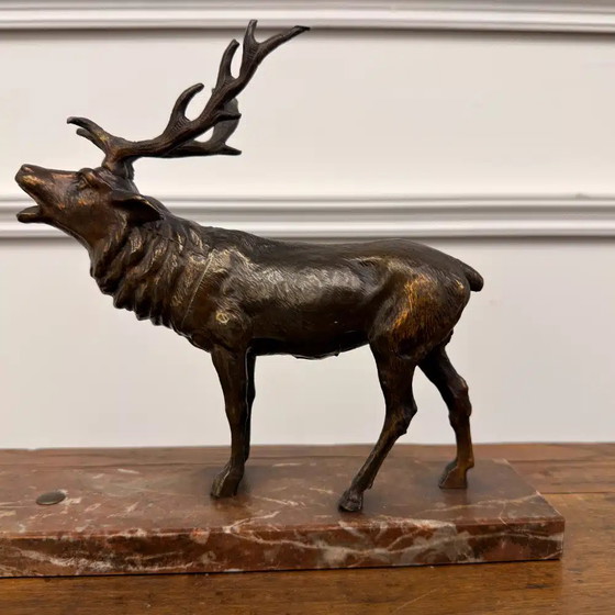 Buy Bronze Red Deer Sculpture? - Wide selection!, Chesterfield (photo 4 of 8)