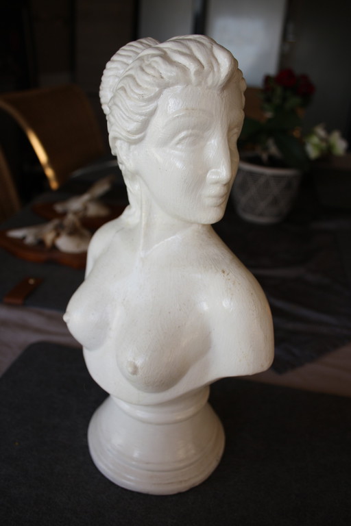 Venus de Milo - Bust in alabaster (23 cm)