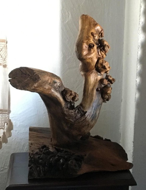 Sculture in legno organico chiamata "Doble Impulso", Marrone, Organic Modern (foto 2 di 12)