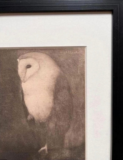 Jan Mankes 1889-1920 / Heliograbado original de un búho en la rama de un árbol, 1923