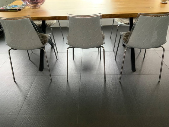 Image 1 of Chaises de salle à manger Bontempi Leyla