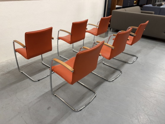 6 Leolux Freyr Chaise de salle à manger Cuir orange, Chaises de salle à manger (photo 10 sur 12)