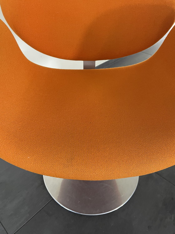 Image 1 of 4 x Tulip Artifort.