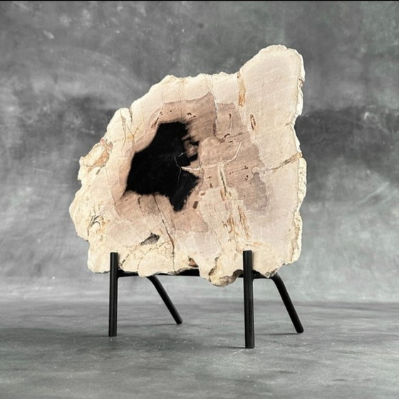 Image 1 of Madera fosilizada de Sooka, soporte hecho a medida (nuevo)