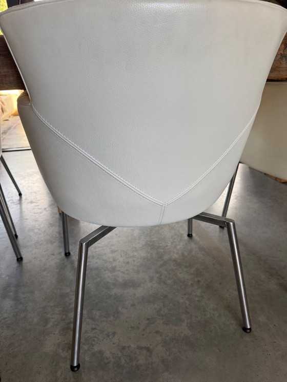 Image 1 of Fauteuils design vintage en cuir blanc, confort et qualité supérieurs, lot de 6.