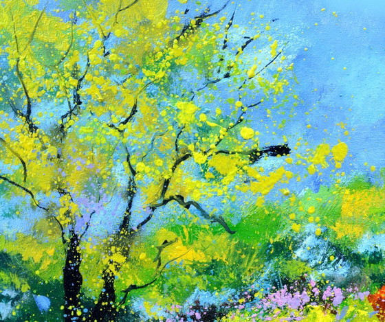 Image 1 of Summer 5426