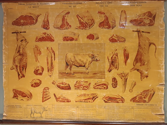 Image 1 of Schulplakat Metzgerschule „Het Rund“