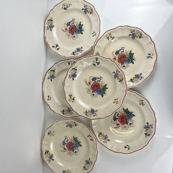 Set of 6 flat / semi-deep plates "Agreste" Sarreguemines, 20th century – Crockery, Ceramic (photo 5 of 10)